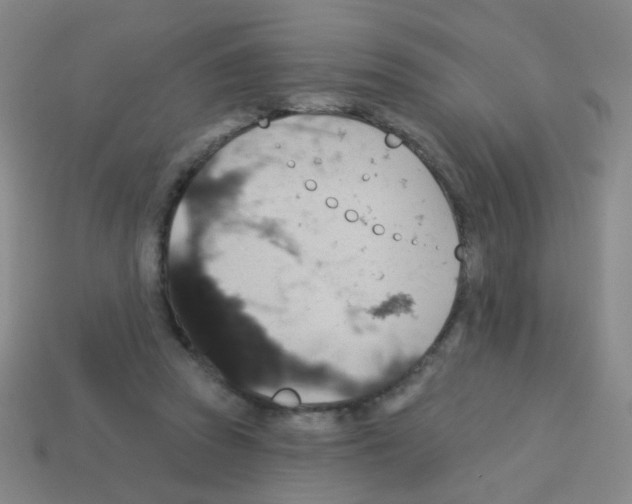 X0000113230353200910221044