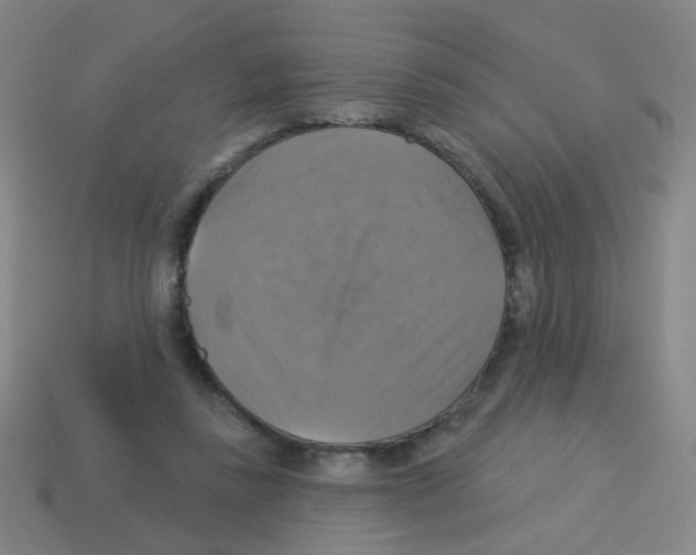 X0000113230355200910221044