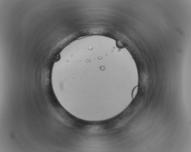 X0000113230356200910221044