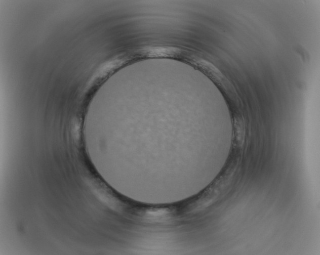 X0000113230357200910221044