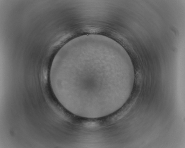 X0000113230358200910221044