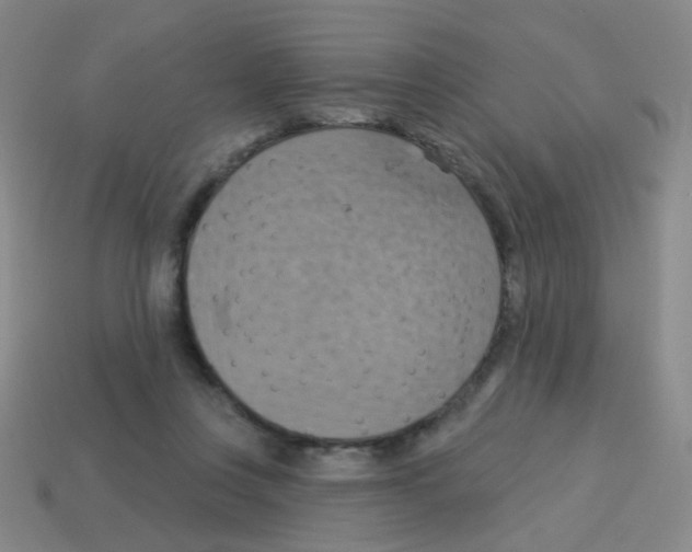 X0000113230359200910221044