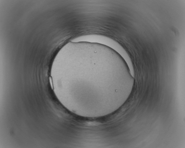 X0000113230360200910221044