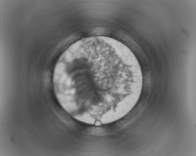 X0000113230361200910221044