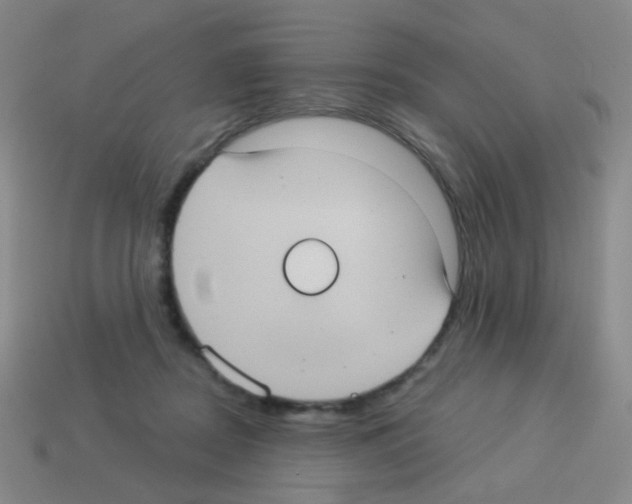 X0000113230362200910221044