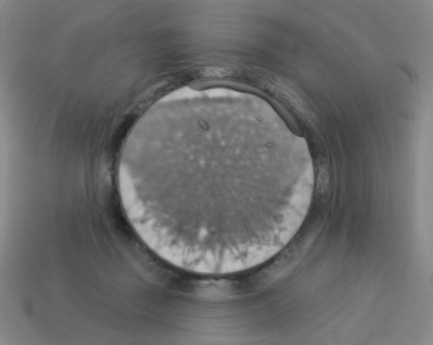 X0000113230363200910221044