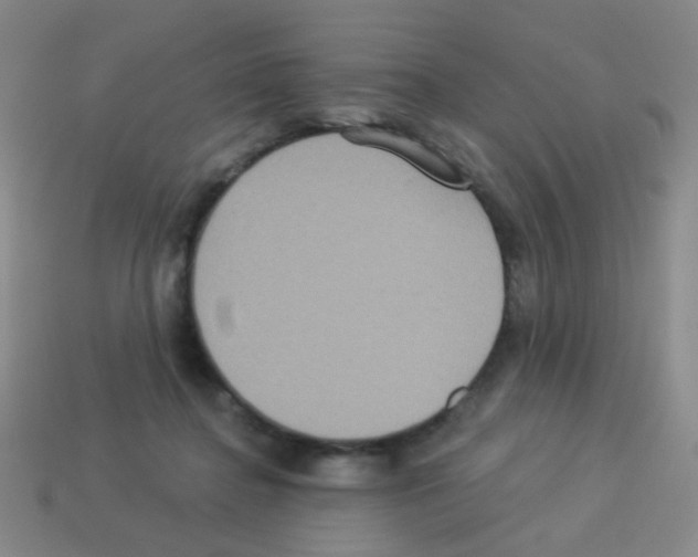 X0000113230364200910221044