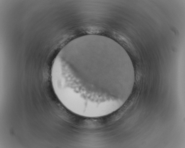 X0000113230367200910221044