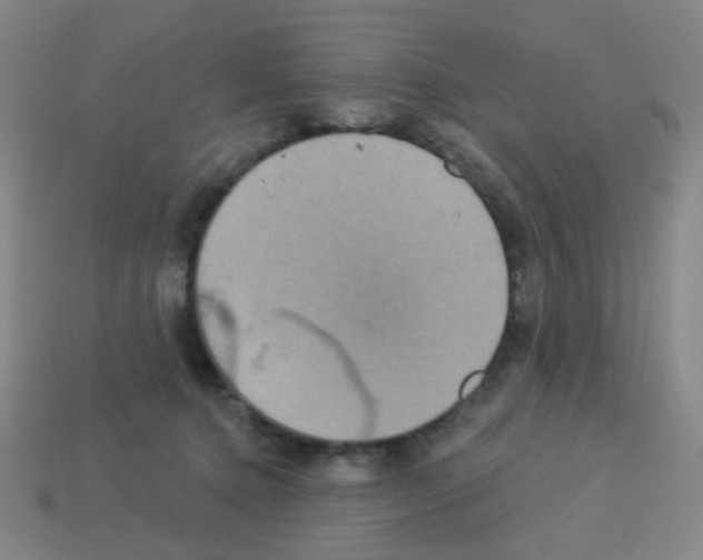 X0000113230368200910221044