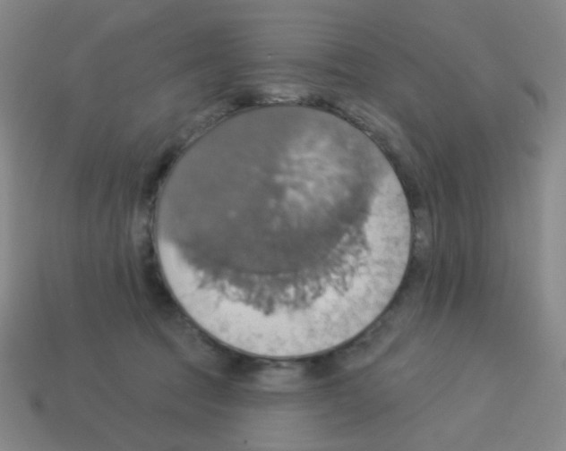 X0000113230369200910221044