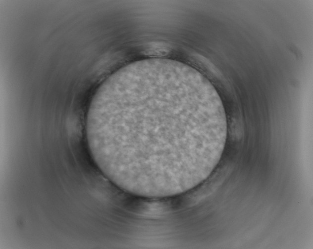 X0000113230370200910221044