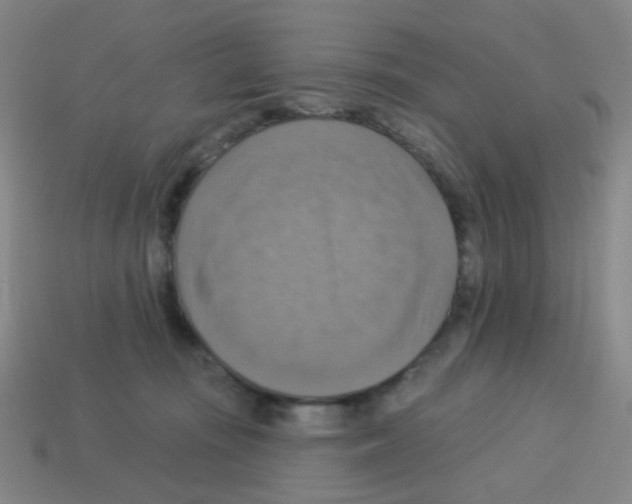 X0000113230371200910221044