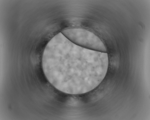 X0000113230372200910221044