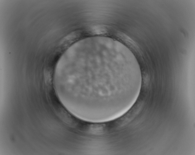 X0000113230373200910221044