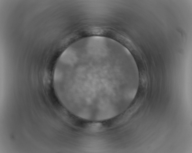 X0000113230374200910221044