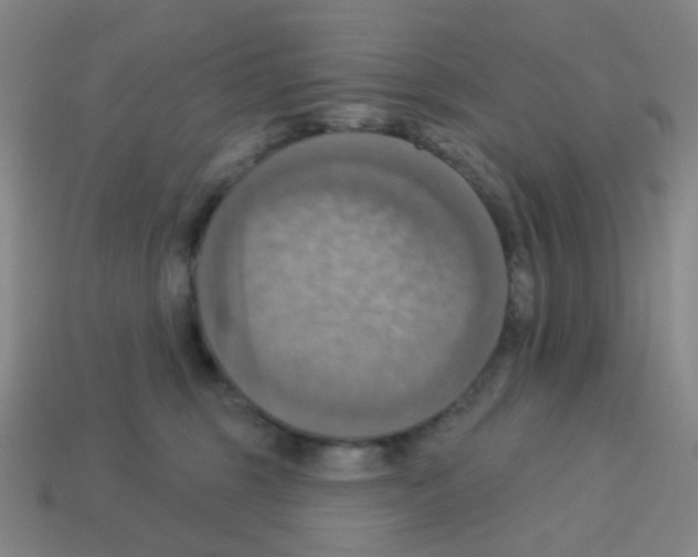 X0000113230375200910221044