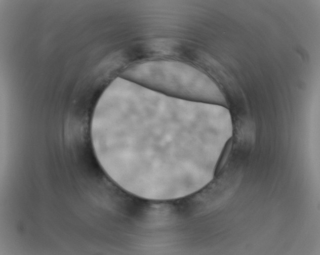 X0000113230376200910221044