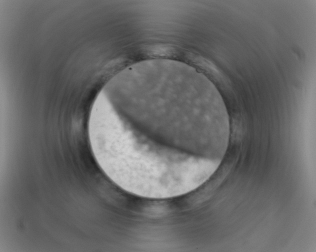 X0000113230377200910221044