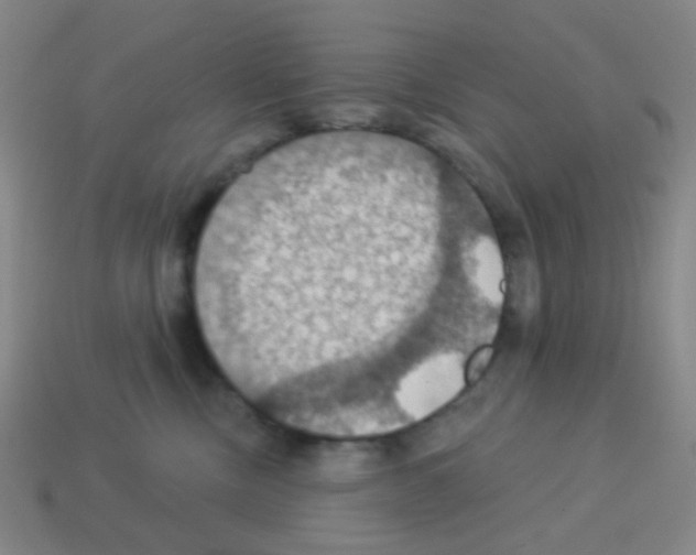 X0000113230378200910221044