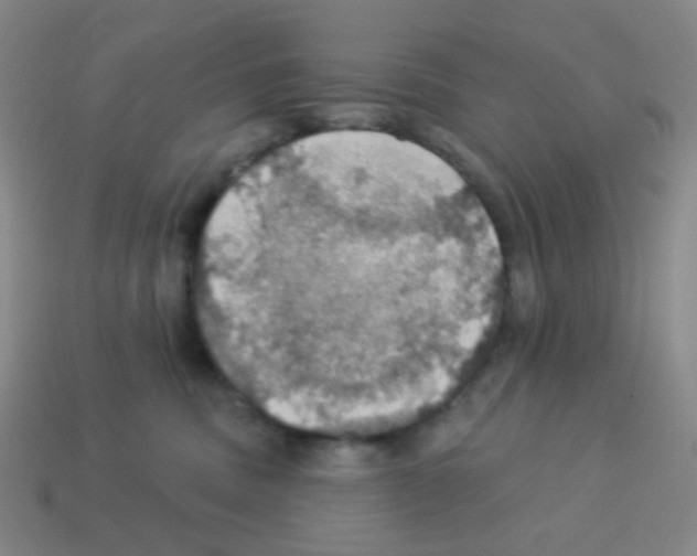 X0000113230379200910221044