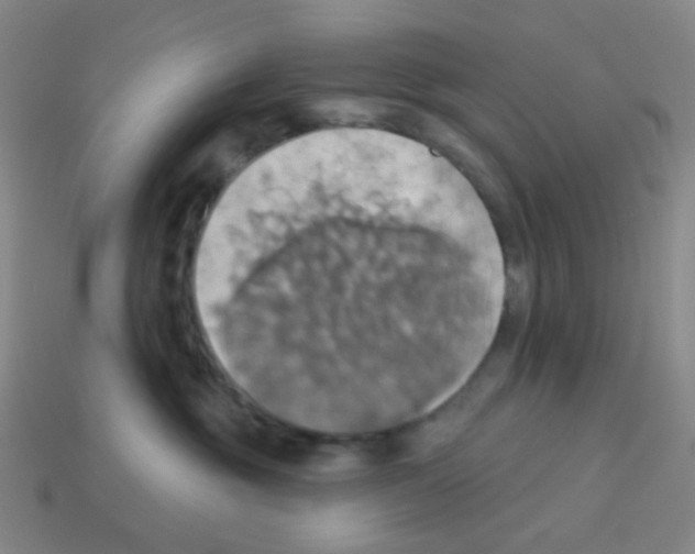 X0000113230381200910221044