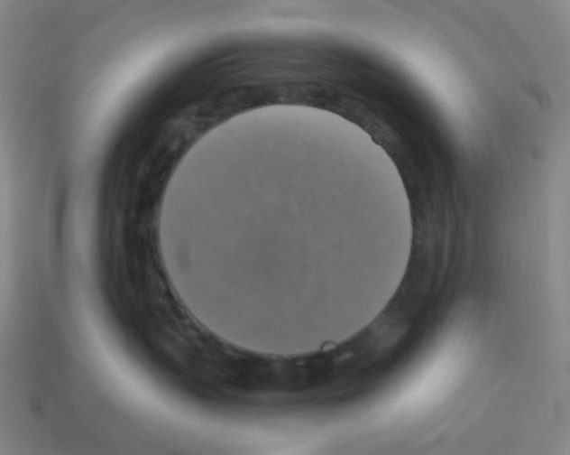 X0000113230383200910221044