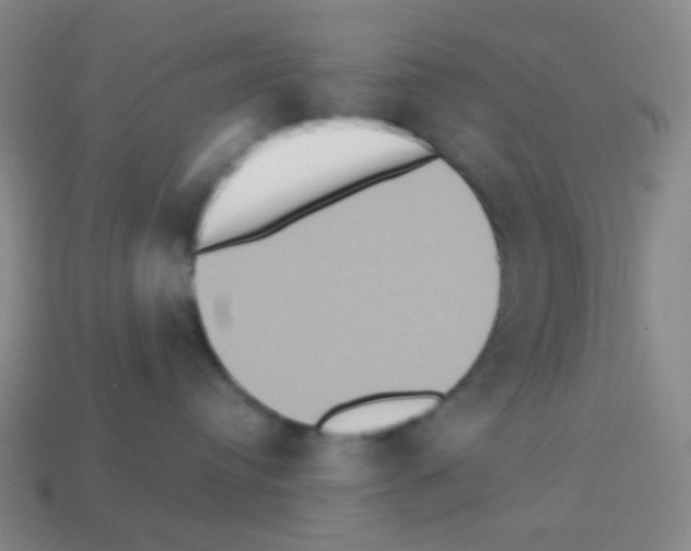 X0000113230384200910221044