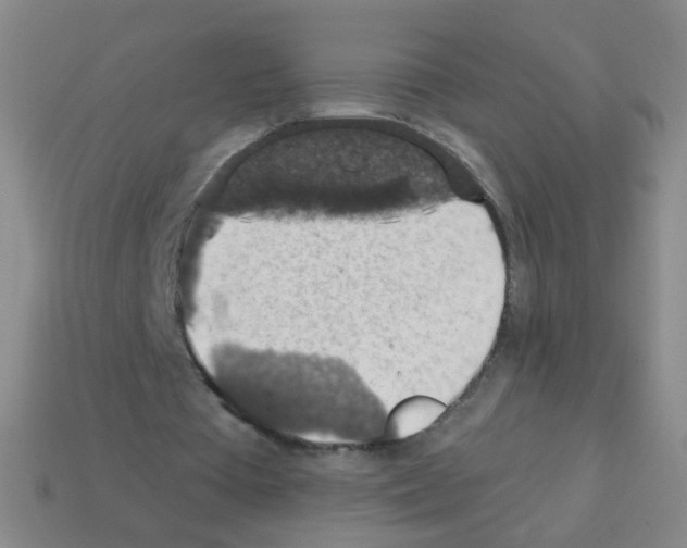 X0000113230385200910221044