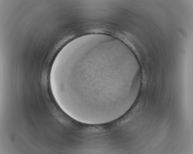 X0000113230386200910221044