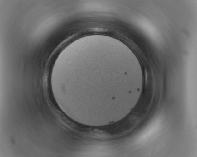 X0000113230387200910221043