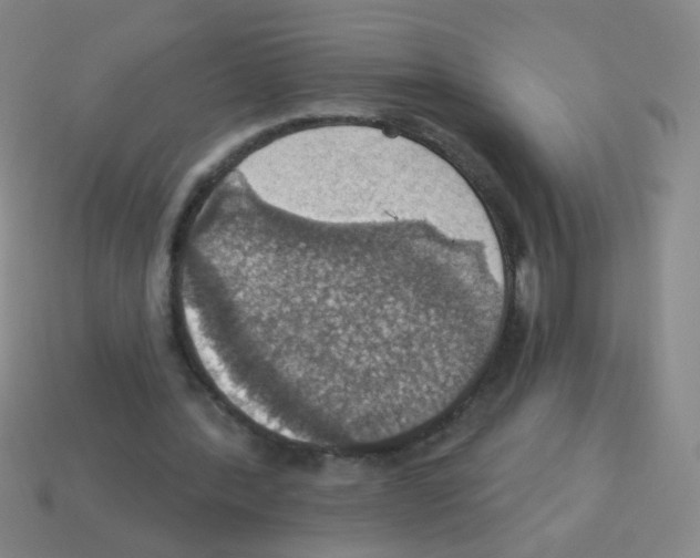 X0000113230388200910221043