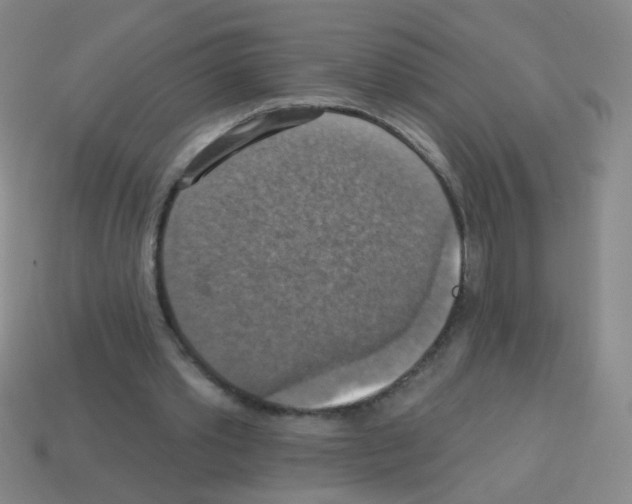 X0000113230389200910221043