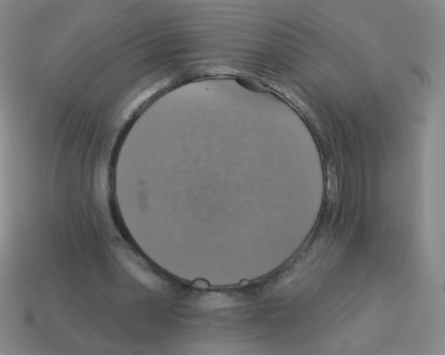 X0000113230390200910221043