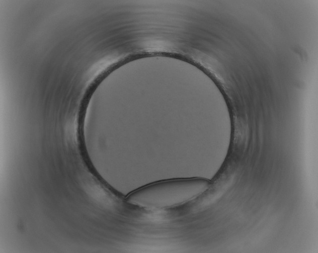 X0000113230391200910221043