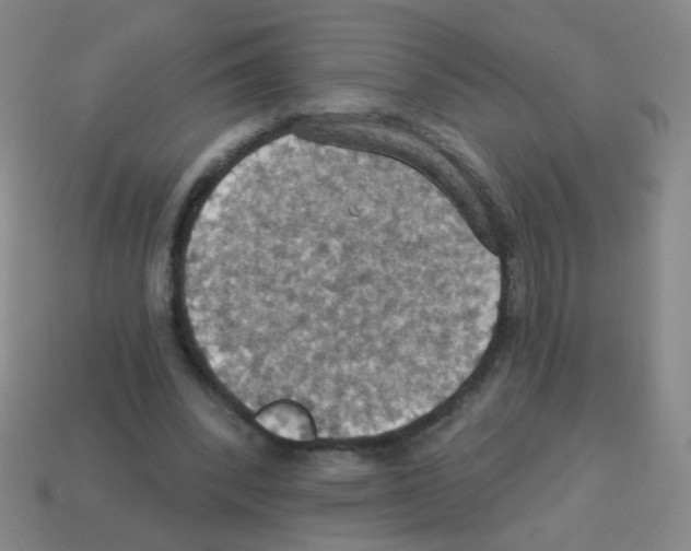 X0000113230392200910221043