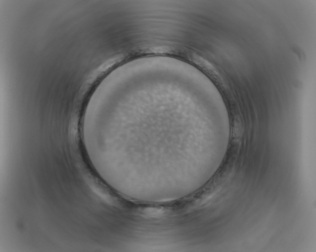 X0000113230394200910221043