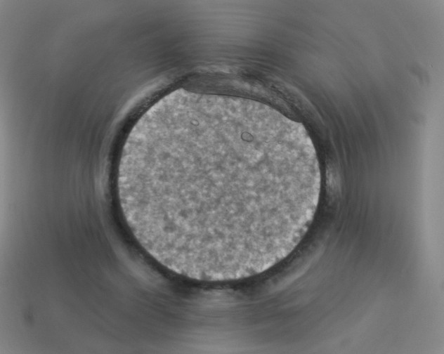 X0000113230396200910221043