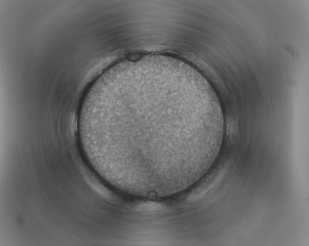 X0000113230397200910221043