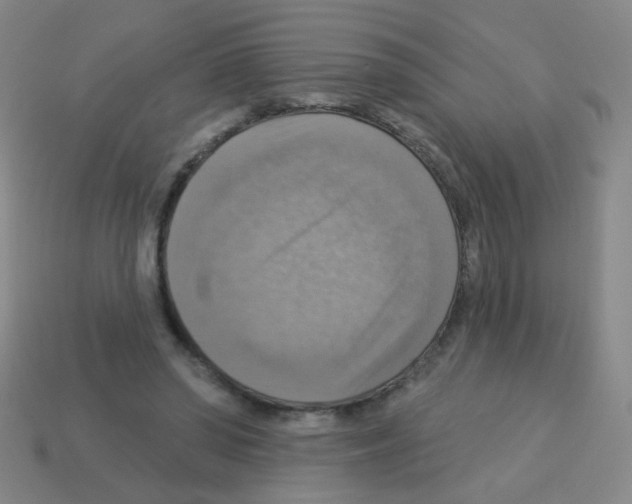 X0000113230398200910221043