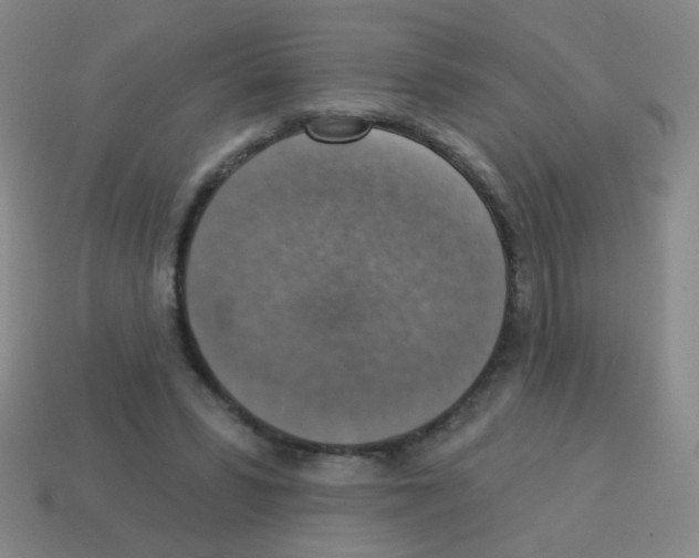 X0000113230399200910221043