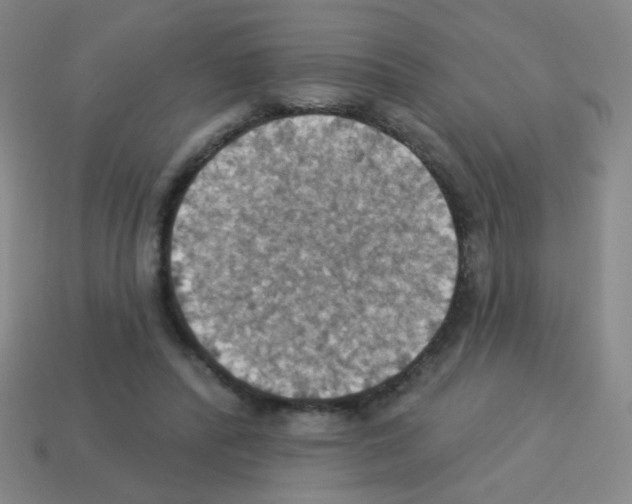 X0000113230400200910221043