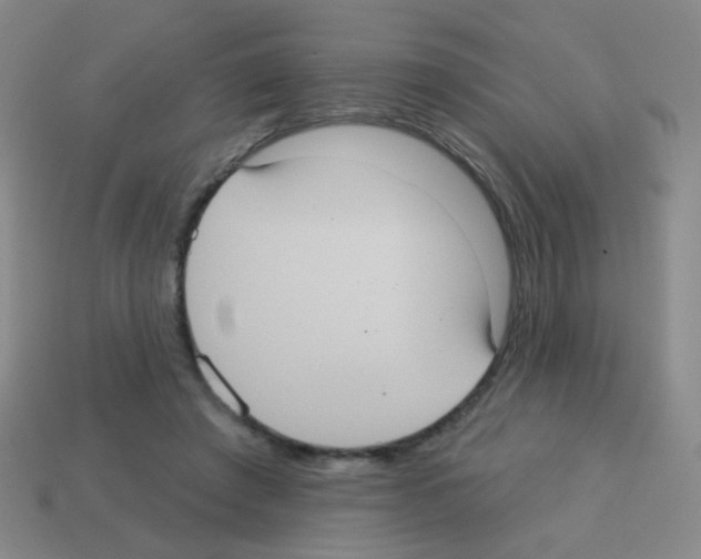 X0000113230401200910221043