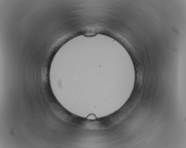 X0000113230403200910221043