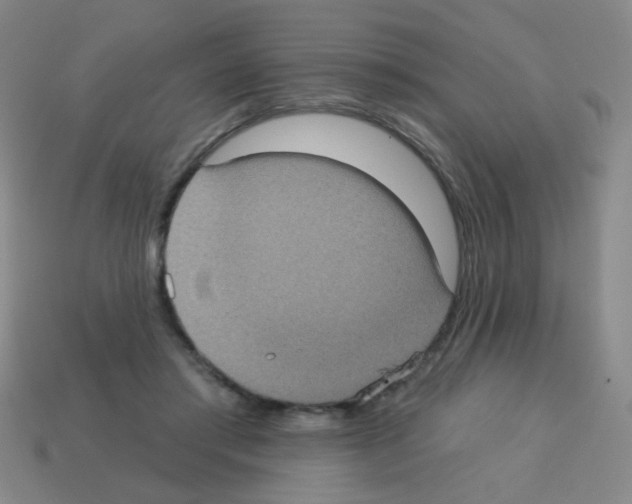 X0000113230405200910221043