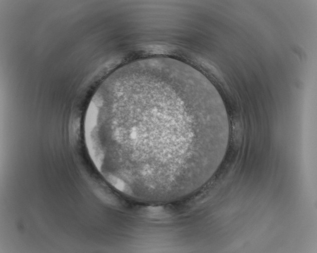 X0000113230406200910221043