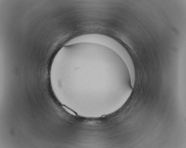 X0000113230407200910221043