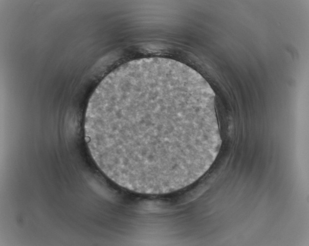 X0000113230408200910221043