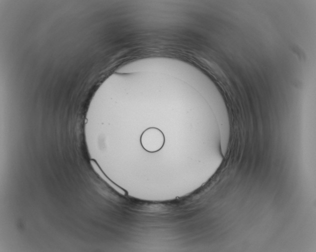 X0000113230409200910221043