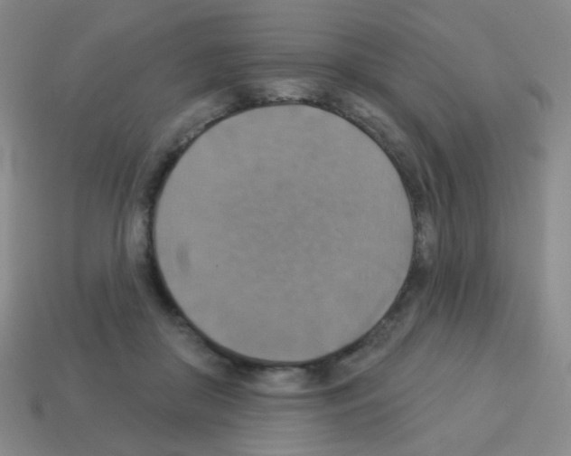 X0000113230410200910221043