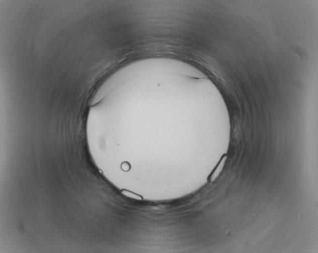 X0000113230411200910221043